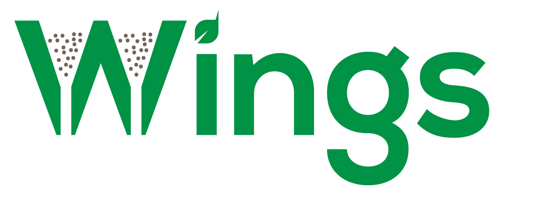 Wings Ltda